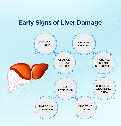 early signs of liver damage