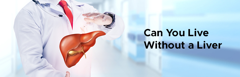 Blogs Best Liver Transplant Causes Symptoms And Risks Ailbs