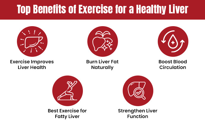 exercises to improve liver health