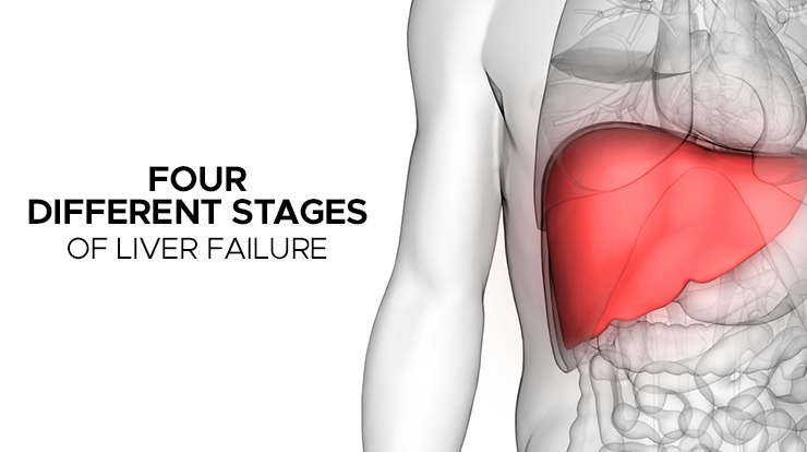 Fatty Liver Disease In Children: Tips For Treatment And Prevention