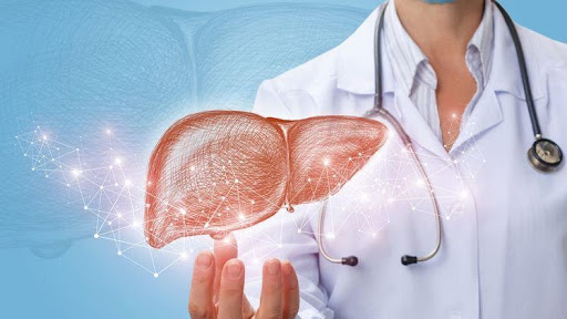 The procedure of liver transplant