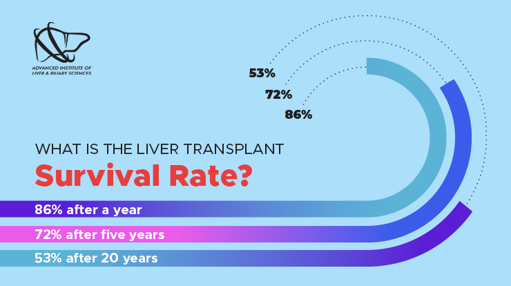what is the liver transplant survival rate