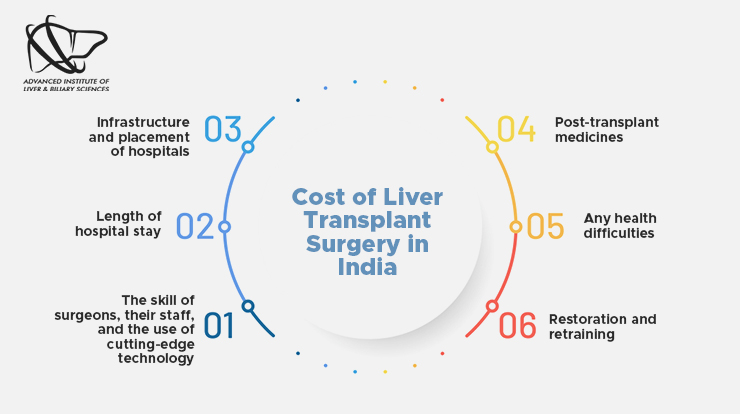 cost of liver transplant surgery in india