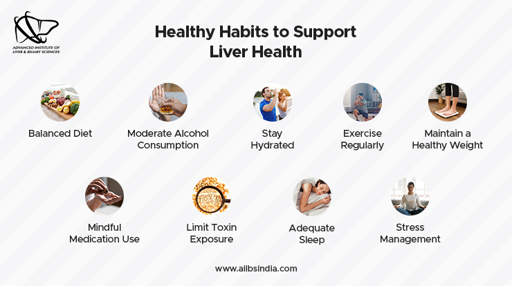 Healthy habits to support liver health 