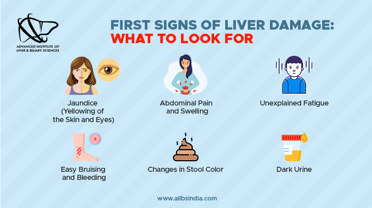 First Signs of Liver Damage What to Look For