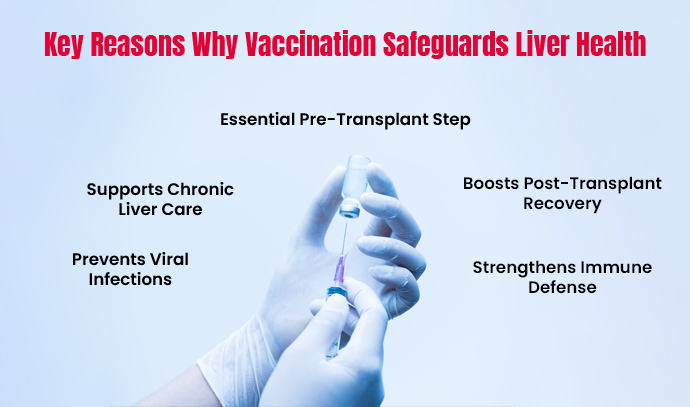 why vaccination is crucial in preventing liver diseases